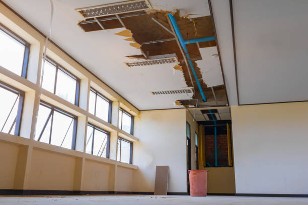 Best Water damage restoration near me  in Orange Lake, NY