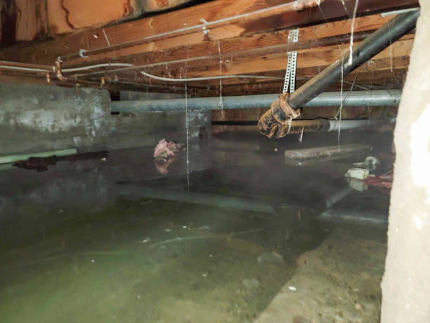 Best Ceiling water damage repair  in Orange Lake, NY