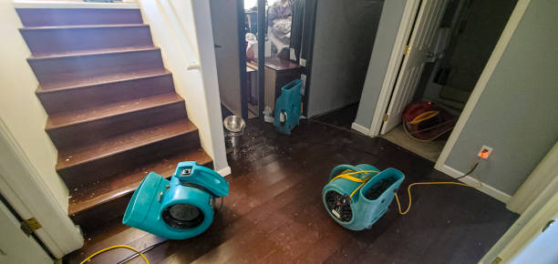 Best Ceiling water damage repair  in Orange Lake, NY