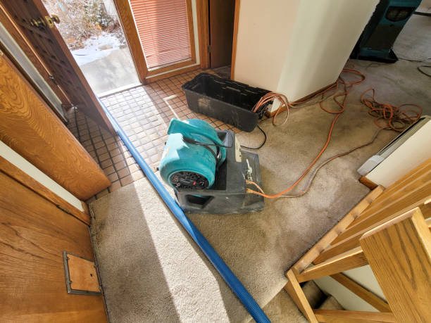 Best Water damage mitigation services  in Orange Lake, NY