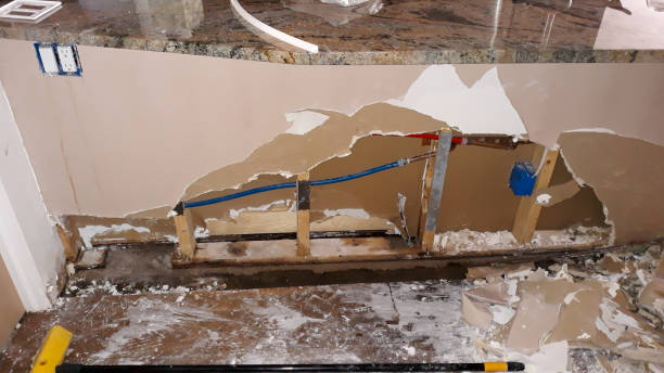 Best Professional water damage repair  in Orange Lake, NY