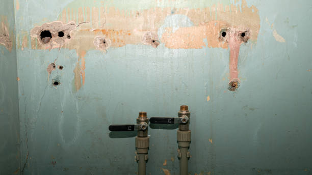 Best Water damage cleanup near me  in Orange Lake, NY