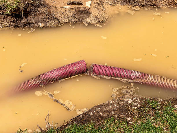 Best 24/7 water damage repair  in Orange Lake, NY