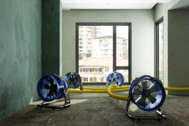 Best Local water damage restoration  in Orange Lake, NY